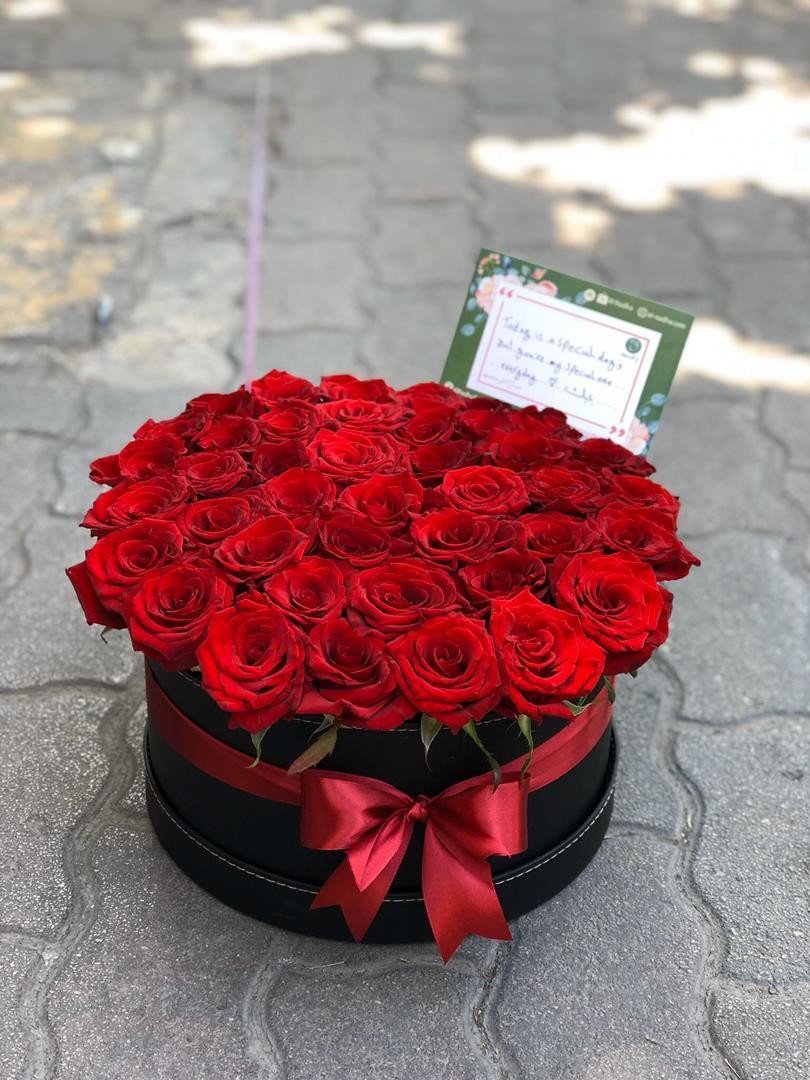 بوكس ورد جوري